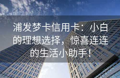 浦发梦卡信用卡：小白的理想选择，惊喜连连的生活小助手！