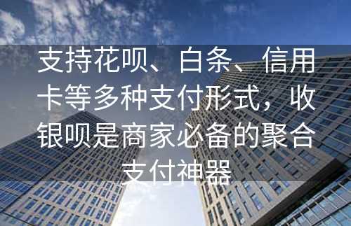 支持花呗、白条、信用卡等多种支付形式，收银呗是商家必备的聚合支付神器