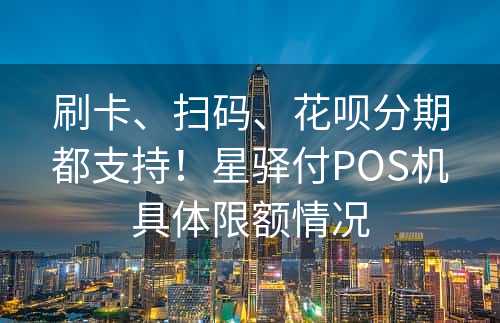 刷卡、扫码、花呗分期都支持！星驿付POS机具体限额情况