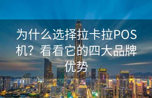 为什么选择拉卡拉POS机？看看它的四大品牌优势
