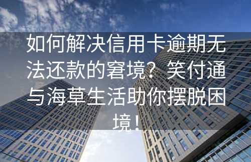 如何解决信用卡逾期无法还款的窘境？笑付通与海草生活助你摆脱困境！