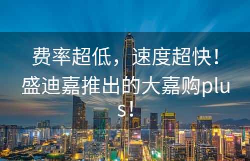 费率超低，速度超快！盛迪嘉推出的大嘉购plus！