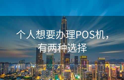 个人想要办理POS机，有两种选择