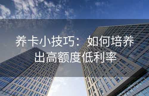 养卡小技巧：如何培养出高额度低利率