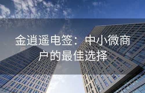 金逍遥电签：中小微商户的最佳选择