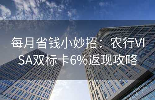 每月省钱小妙招：农行VISA双标卡6%返现攻略