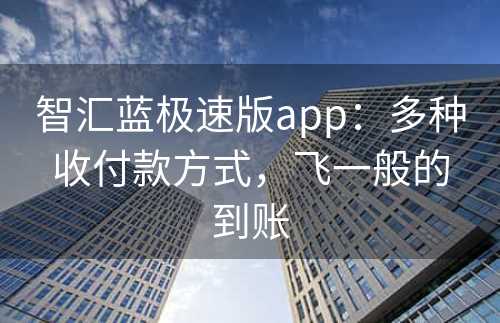 智汇蓝极速版app：多种收付款方式，飞一般的到账