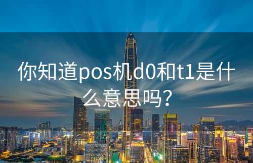 你知道pos机d0和t1是什么意思吗？