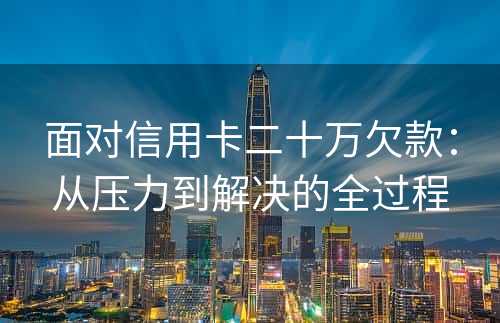 面对信用卡二十万欠款：从压力到解决的全过程