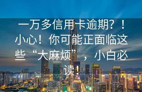 一万多信用卡逾期？！小心！你可能正面临这些“大麻烦”，小白必读！