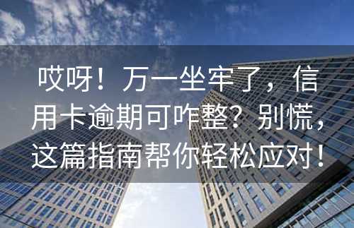 哎呀！万一坐牢了，信用卡逾期可咋整？别慌，这篇指南帮你轻松应对！