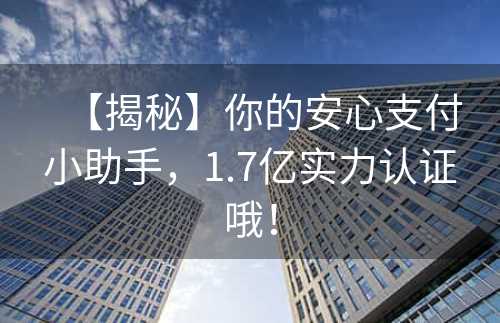 【揭秘】你的安心支付小助手，1.7亿实力认证哦！