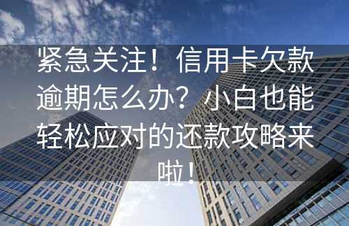 紧急关注！信用卡欠款逾期怎么办？小白也能轻松应对的还款攻略来啦！