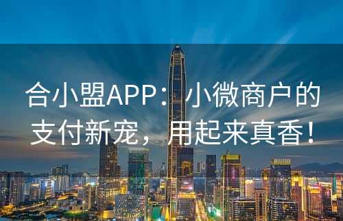 合小盟APP：小微商户的支付新宠，用起来真香！