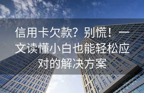 信用卡欠款？别慌！一文读懂小白也能轻松应对的解决方案