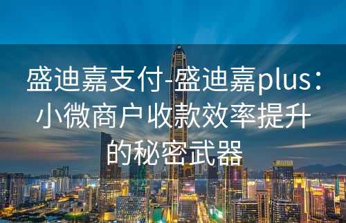 盛迪嘉支付-盛迪嘉plus：小微商户收款效率提升的秘密武器