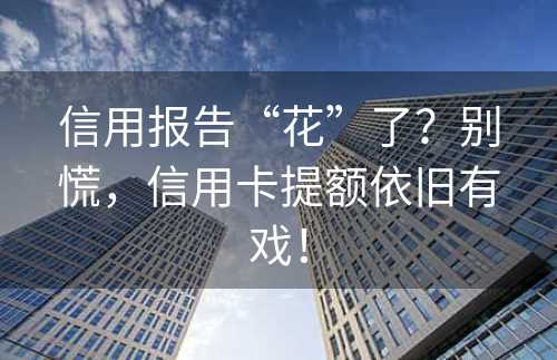 信用报告“花”了？别慌，信用卡提额依旧有戏！