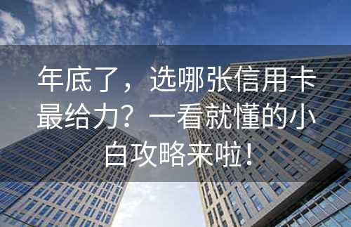 年底了，选哪张信用卡最给力？一看就懂的小白攻略来啦！