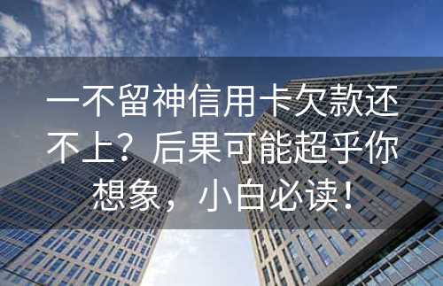 一不留神信用卡欠款还不上？后果可能超乎你想象，小白必读！