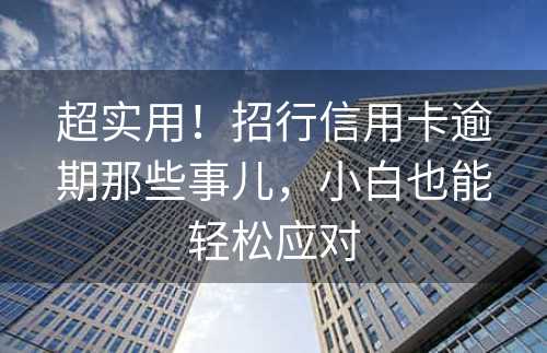 超实用！招行信用卡逾期那些事儿，小白也能轻松应对