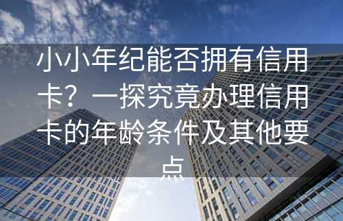 小小年纪能否拥有信用卡？一探究竟办理信用卡的年龄条件及其他要点