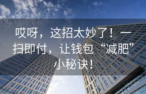 哎呀，这招太妙了！一扫即付，让钱包“减肥”小秘诀！