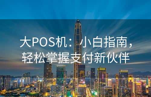 大POS机：小白指南，轻松掌握支付新伙伴