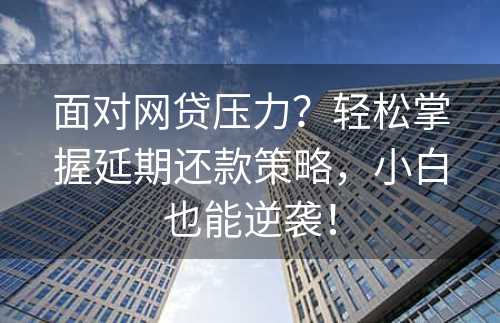 面对网贷压力？轻松掌握延期还款策略，小白也能逆袭！