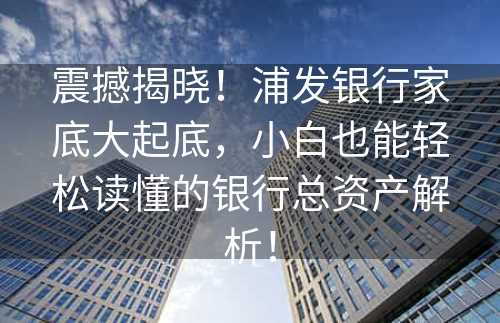 震撼揭晓！浦发银行家底大起底，小白也能轻松读懂的银行总资产解析！