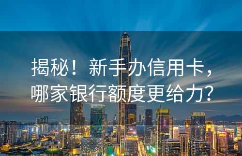 揭秘！新手办信用卡，哪家银行额度更给力？