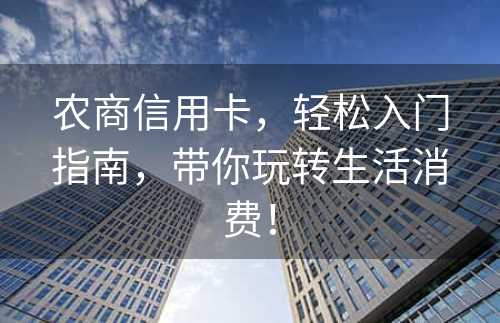 农商信用卡，轻松入门指南，带你玩转生活消费！