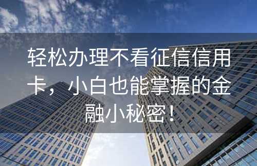 轻松办理不看征信信用卡，小白也能掌握的金融小秘密！