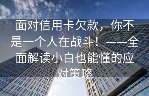 面对信用卡欠款，你不是一个人在战斗！——全面解读小白也能懂的应对策略