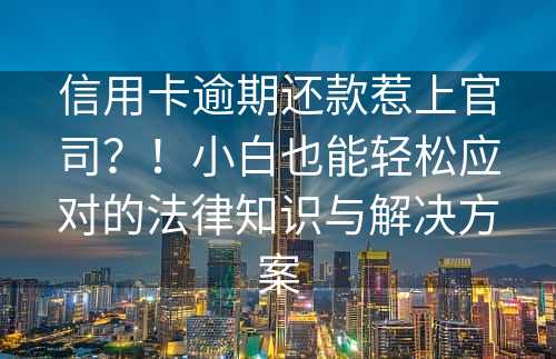 信用卡逾期还款惹上官司？！小白也能轻松应对的法律知识与解决方案