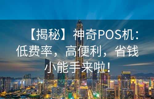 【揭秘】神奇POS机：低费率，高便利，省钱小能手来啦！