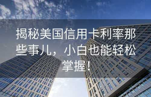 揭秘美国信用卡利率那些事儿，小白也能轻松掌握！