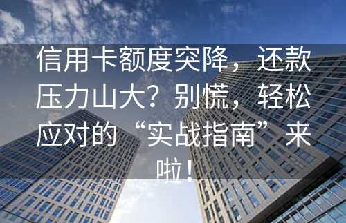 信用卡额度突降，还款压力山大？别慌，轻松应对的“实战指南”来啦！