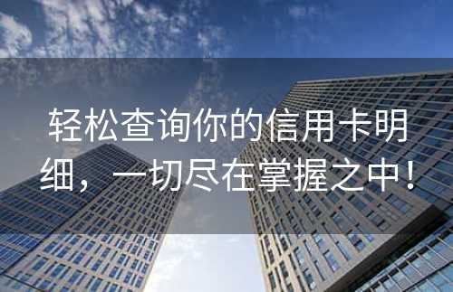 轻松查询你的信用卡明细，一切尽在掌握之中！