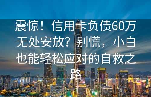 震惊！信用卡负债60万无处安放？别慌，小白也能轻松应对的自救之路