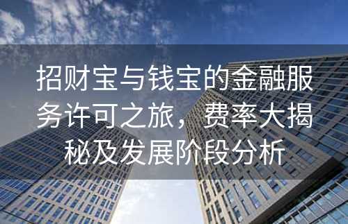 招财宝与钱宝的金融服务许可之旅，费率大揭秘及发展阶段分析