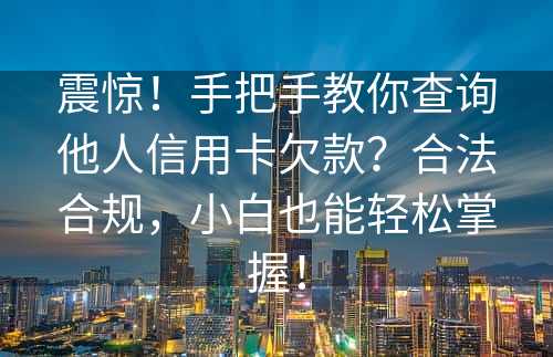 震惊！手把手教你查询他人信用卡欠款？合法合规，小白也能轻松掌握！