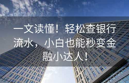 一文读懂！轻松查银行流水，小白也能秒变金融小达人！