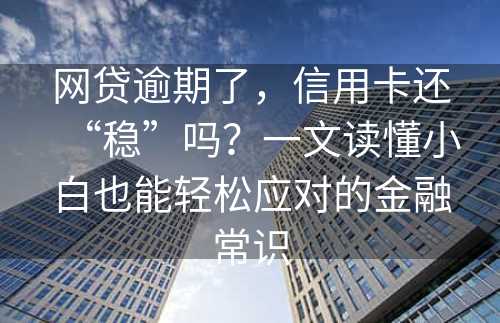 网贷逾期了，信用卡还“稳”吗？一文读懂小白也能轻松应对的金融常识