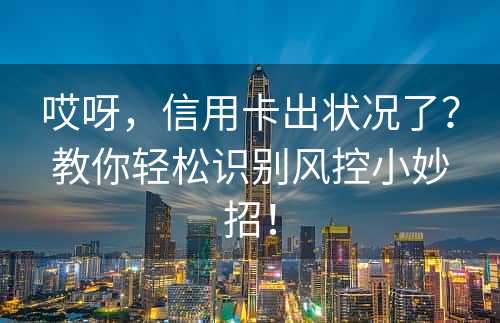 哎呀，信用卡出状况了？教你轻松识别风控小妙招！