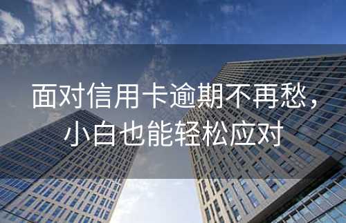 面对信用卡逾期不再愁，小白也能轻松应对