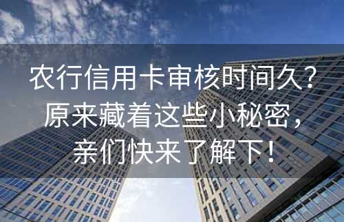 农行信用卡审核时间久？原来藏着这些小秘密，亲们快来了解下！