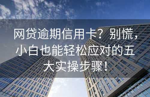 网贷逾期信用卡？别慌，小白也能轻松应对的五大实操步骤！