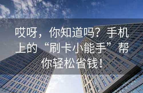 哎呀，你知道吗？手机上的“刷卡小能手”帮你轻松省钱！