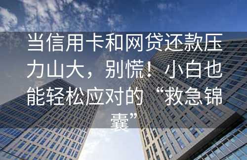 当信用卡和网贷还款压力山大，别慌！小白也能轻松应对的“救急锦囊”