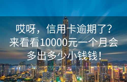 哎呀，信用卡逾期了？来看看10000元一个月会多出多少小钱钱！